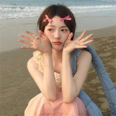 父仇者